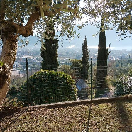 Lake View Studio Flat Riva del Garda Exterior photo
